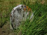 image of grave number 305367